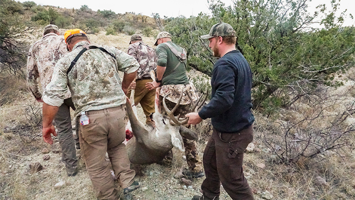 Hunters carrying mule deer buck to be butchered