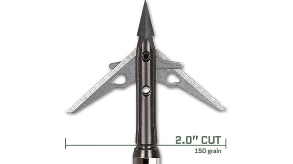 robusto-2.jpg