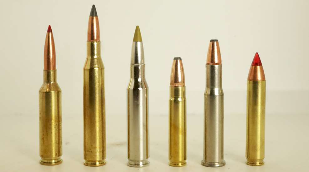 Top 6 Low Recoil Hunting Cartridges Lead