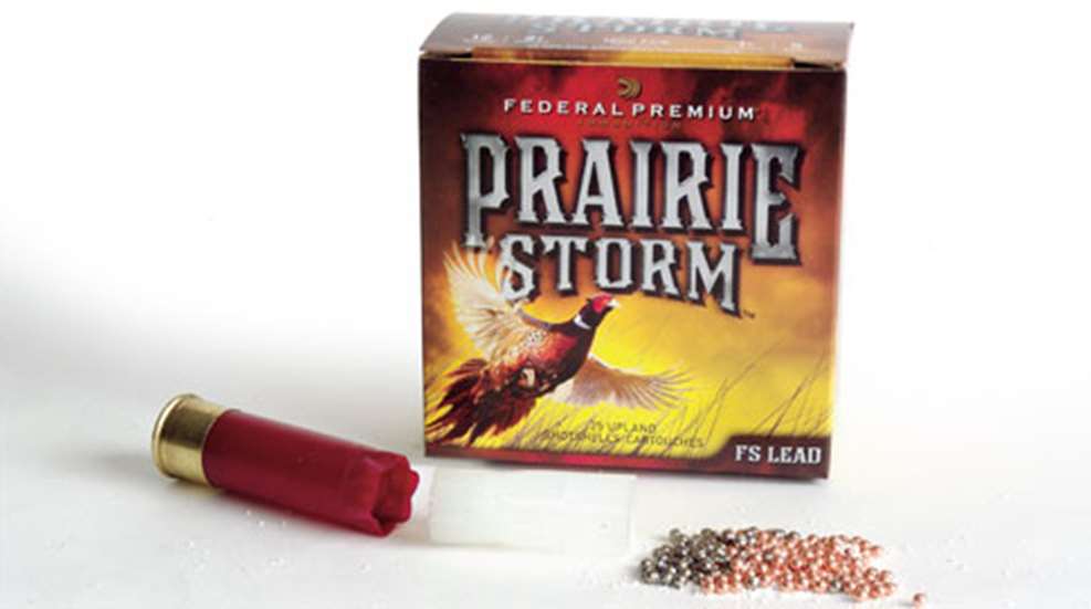 201092813404-prairiestorm_f.jpg