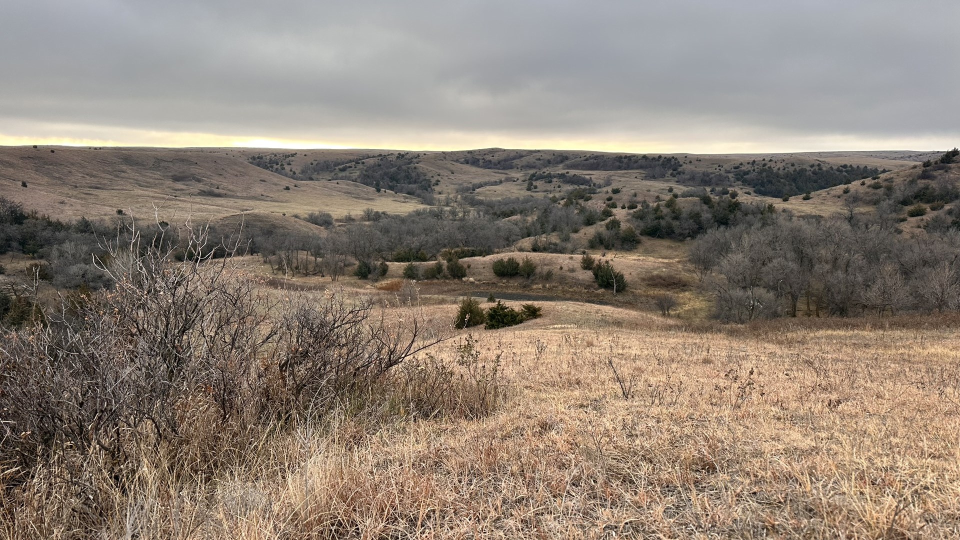 Open valley