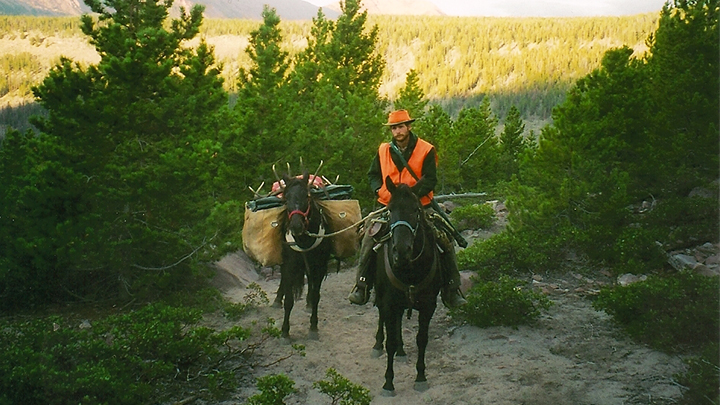 Backcountry hunter on mule