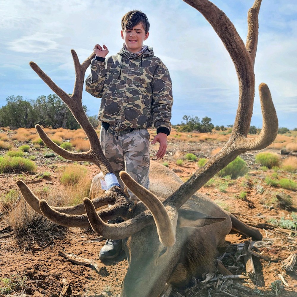 13 Year Old Youth Male Hunter with Bull Elk
