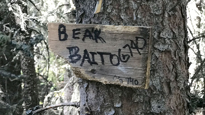 Alberta bear bait site marker