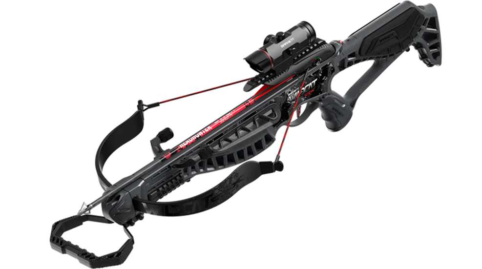 Ledewildcatcrx Webfl