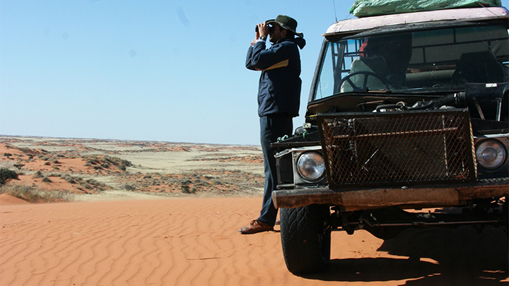 Hunter glassing for game in Africa