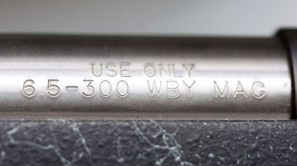 65_wby_jj_f.jpg