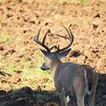successfulfoodplots_lead.jpg
