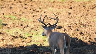 successfulfoodplots_lead.jpg