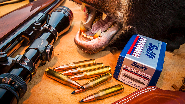 .308 Winchester Cartridges with Ruger 77 and Taxidermy Black Bear