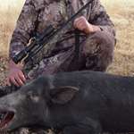 201334112031-hog_reaper_f.jpg