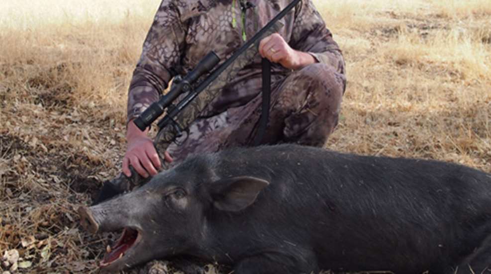 201334112031-hog_reaper_f.jpg