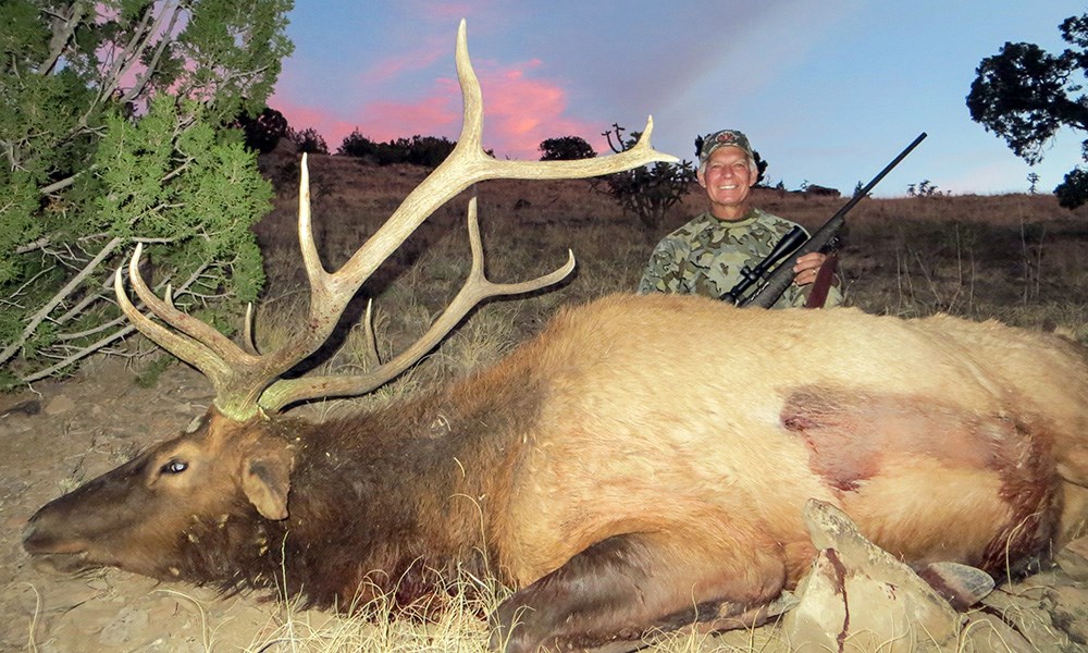 Male hunter with bull elk in New Mexico