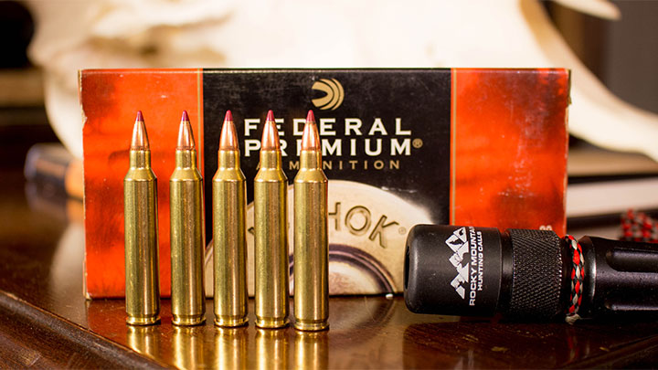 .204 Ruger Federal and Nosler Ammo