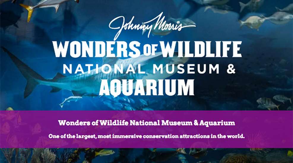 wonder_of_wildlife_f.jpg