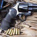 top5biggamehandgun_lead.gif