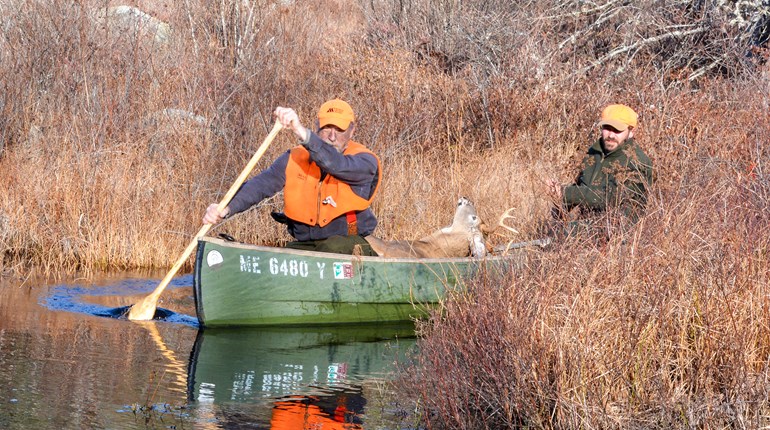 How to Hunt the North Woods Without Snow | An Official Journal Of The NRA