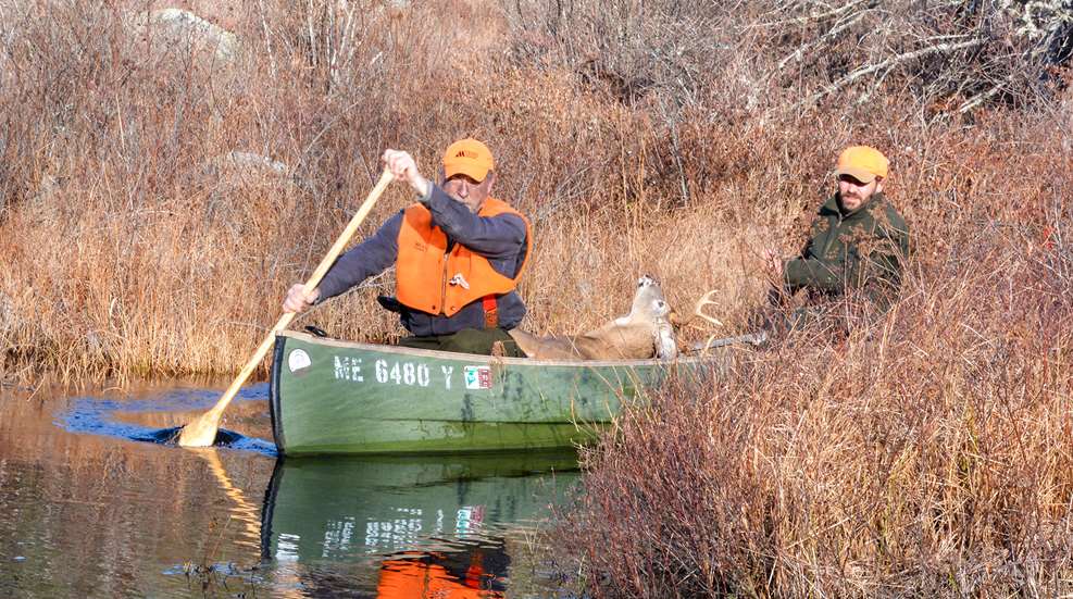 How To Hunt North Woods Without Snow Lead