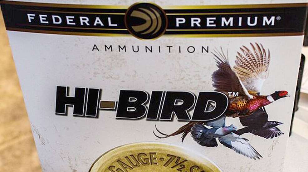 federal_hi_bird.jpg