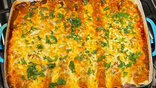 recipe-pulled-goose-enchiladas_lead.jpg