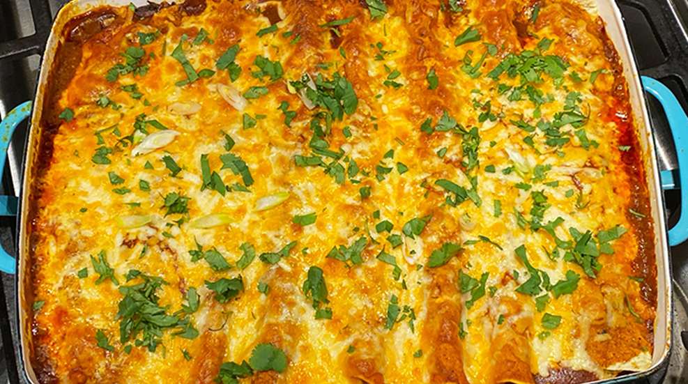 recipe-pulled-goose-enchiladas_lead.jpg
