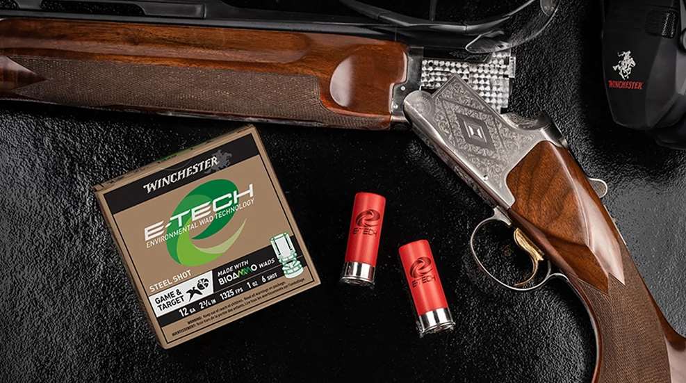 Winchester E Tech Lead