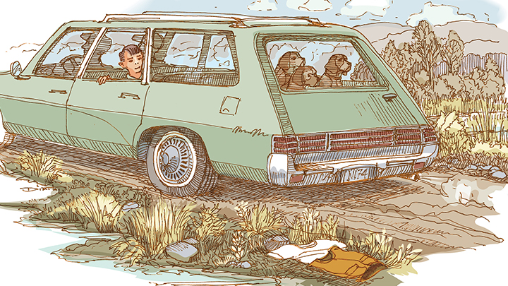 Illustration of Boy in Car with Beagles