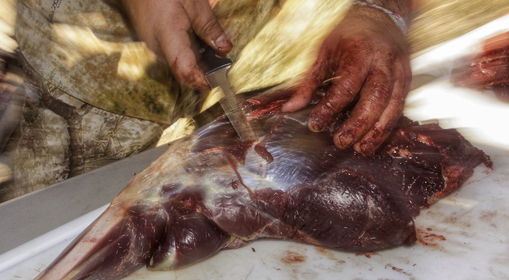 Close up of man processing deer shank meat.