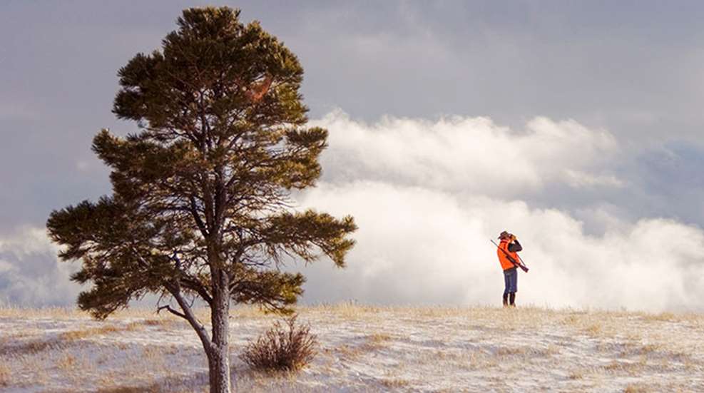 10-reasons-why-you-will-fail-to-kill-a-bull-elk_lead.jpg