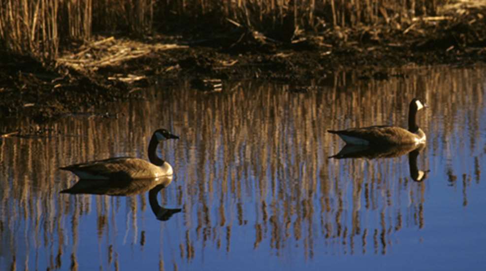 201191910436-earlywater_f.jpg