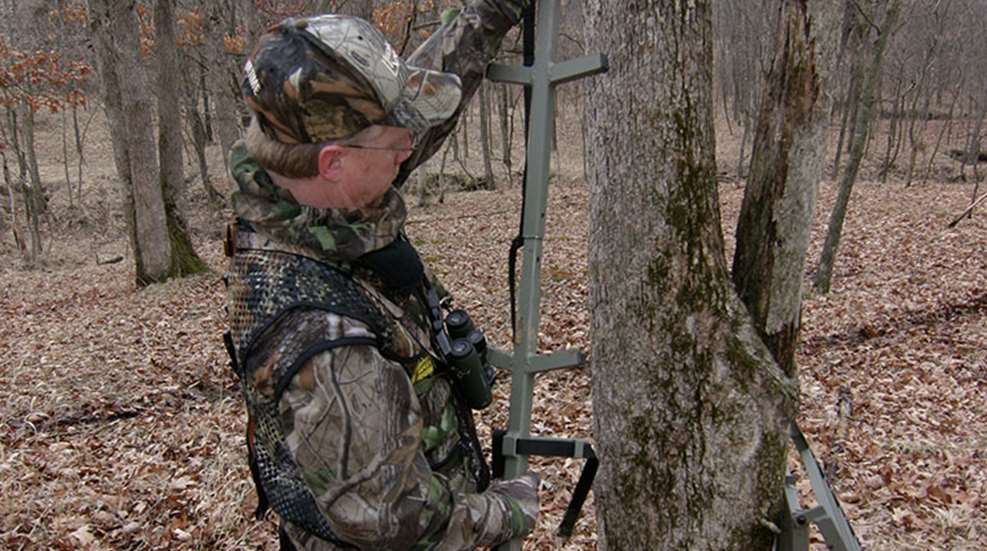 treestandmaintenance_lead.jpg