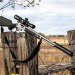 S&W Photo Model 1854 On Gate