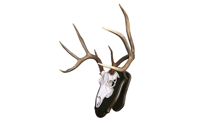 Mountain Mike's Europlaque Skull Mounting System
