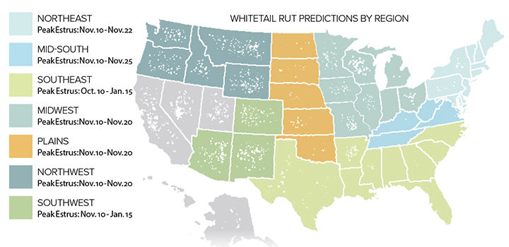 Whitetail Rut Predictions by Region
