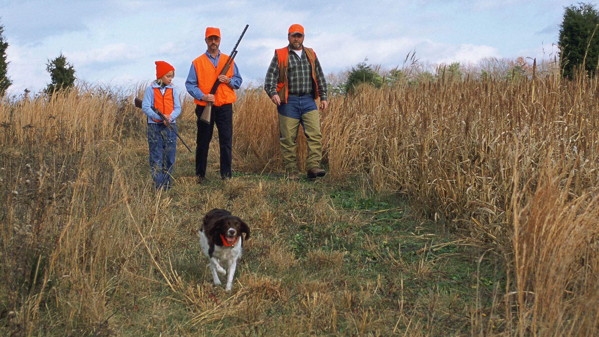 100th Iowa Pheasant Season Opens Saturday—Big Numbers Expected | An Official Journal Of The NRA