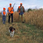100th Iowa Pheasant Season Opens Saturday—Big Numbers Expected