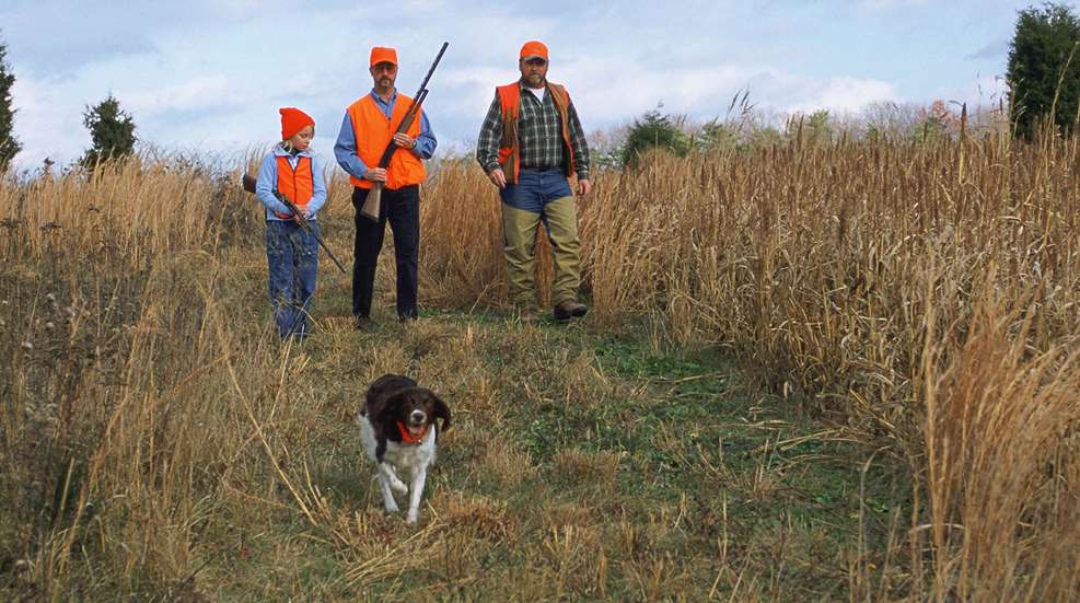 LEDE Iowa Image