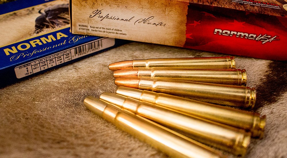 Norma .375 Holland & Holland Magnum ammunition.