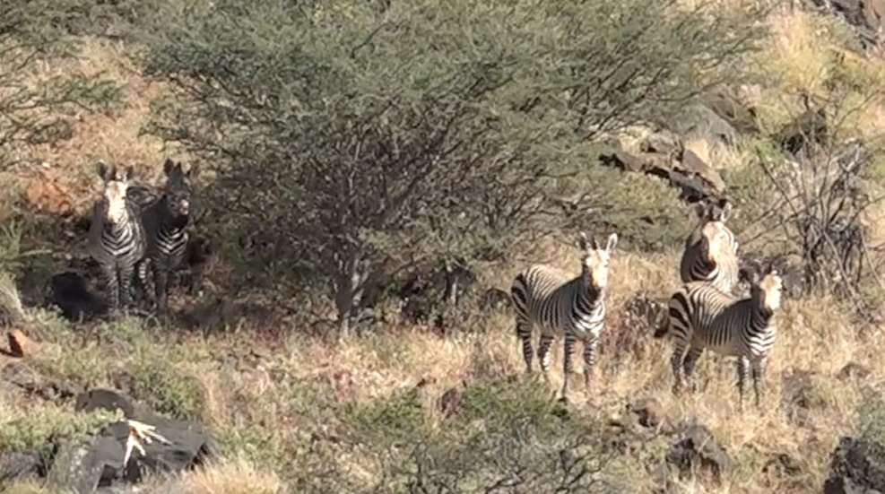africanexp9.jpg