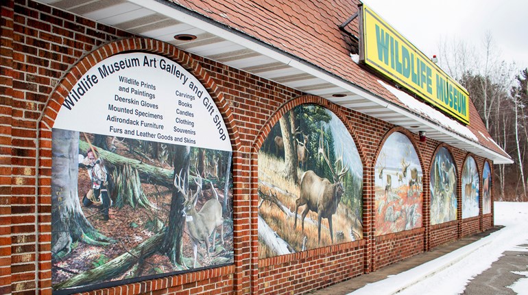 Taxidermy Paradise: The Wildlife Sports and Educational Museum | An Official Journal Of The NRA