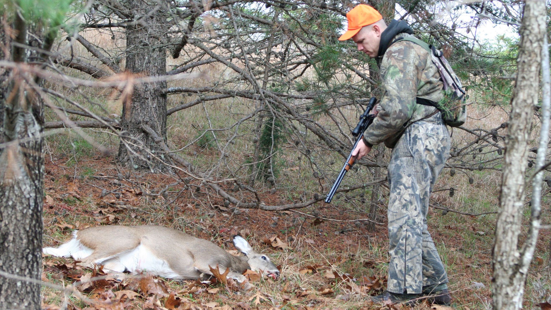 Successfully tracking a deer