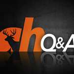 qa_ah2015_fs.jpg (21)