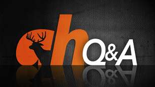 qa_ah2015_fs.jpg (21)