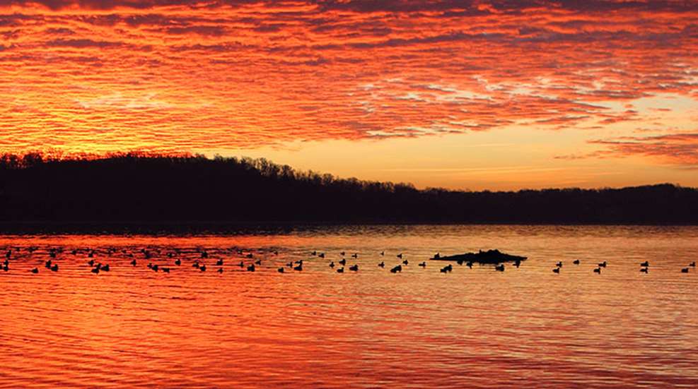 susquehanna_story_f.jpg