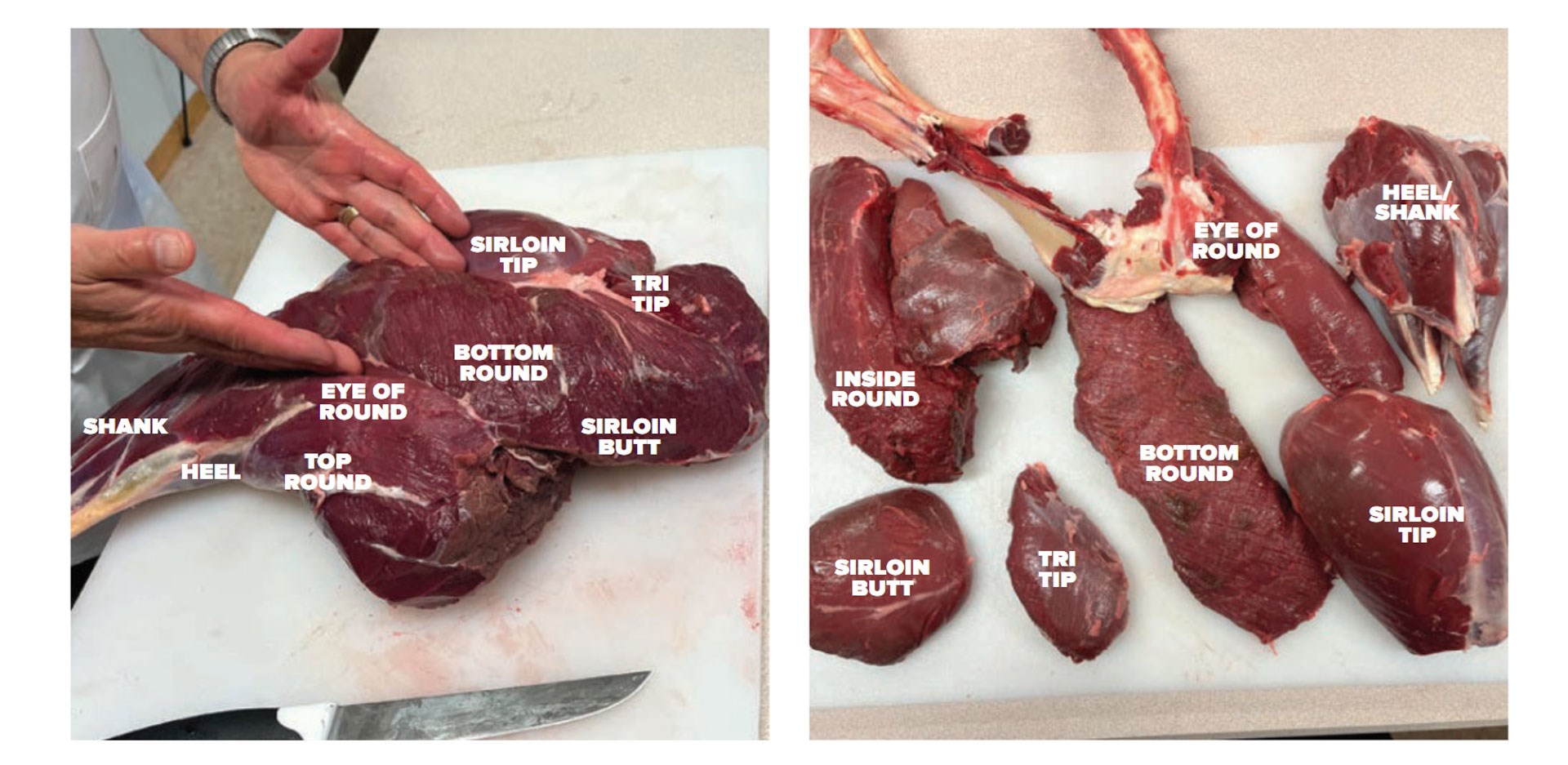Cuts of Meat