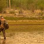 W H2026 05 Black Bear IMG 20260302 225901
