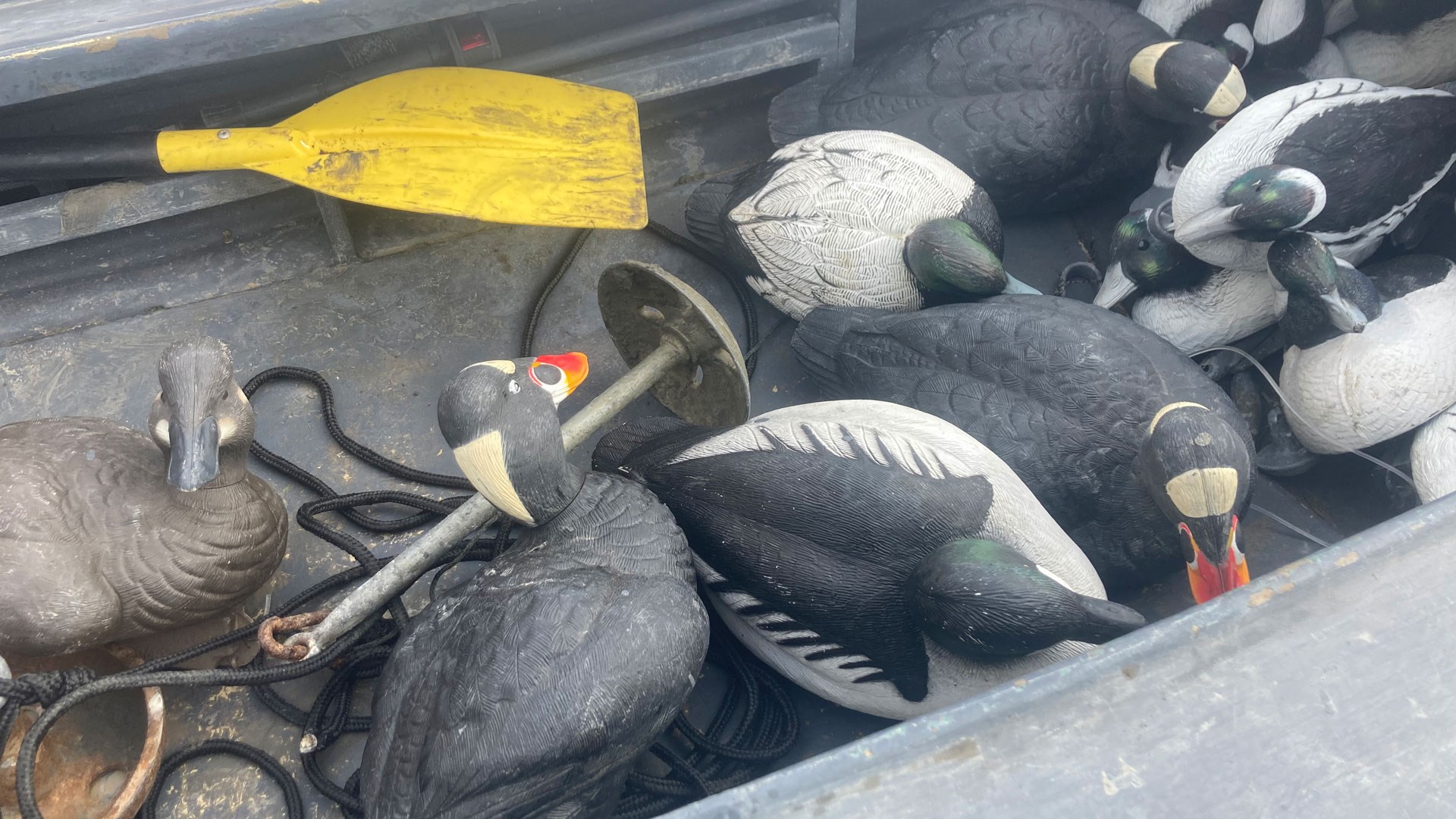 Decoys in a boat