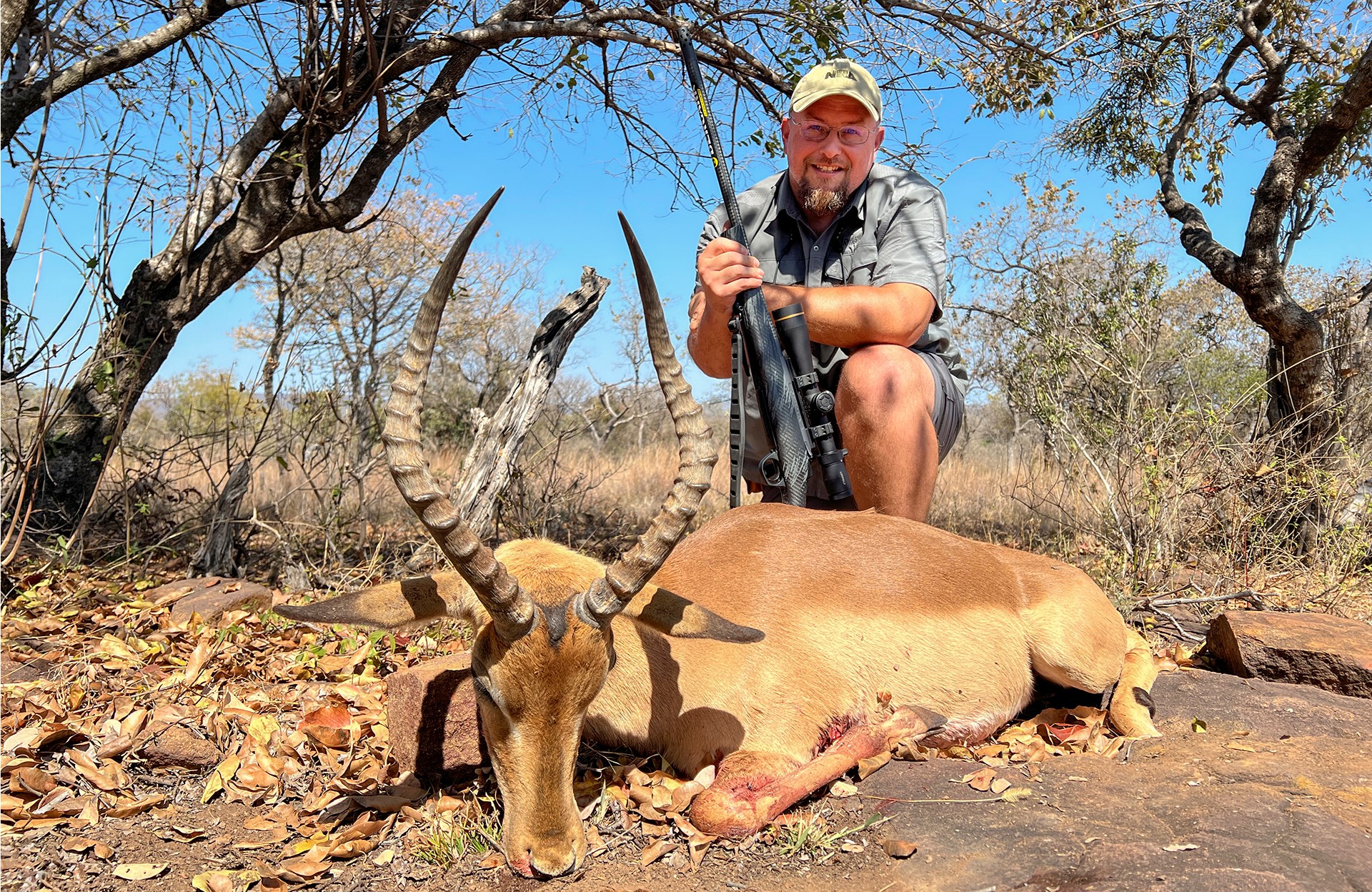 Impala Ram