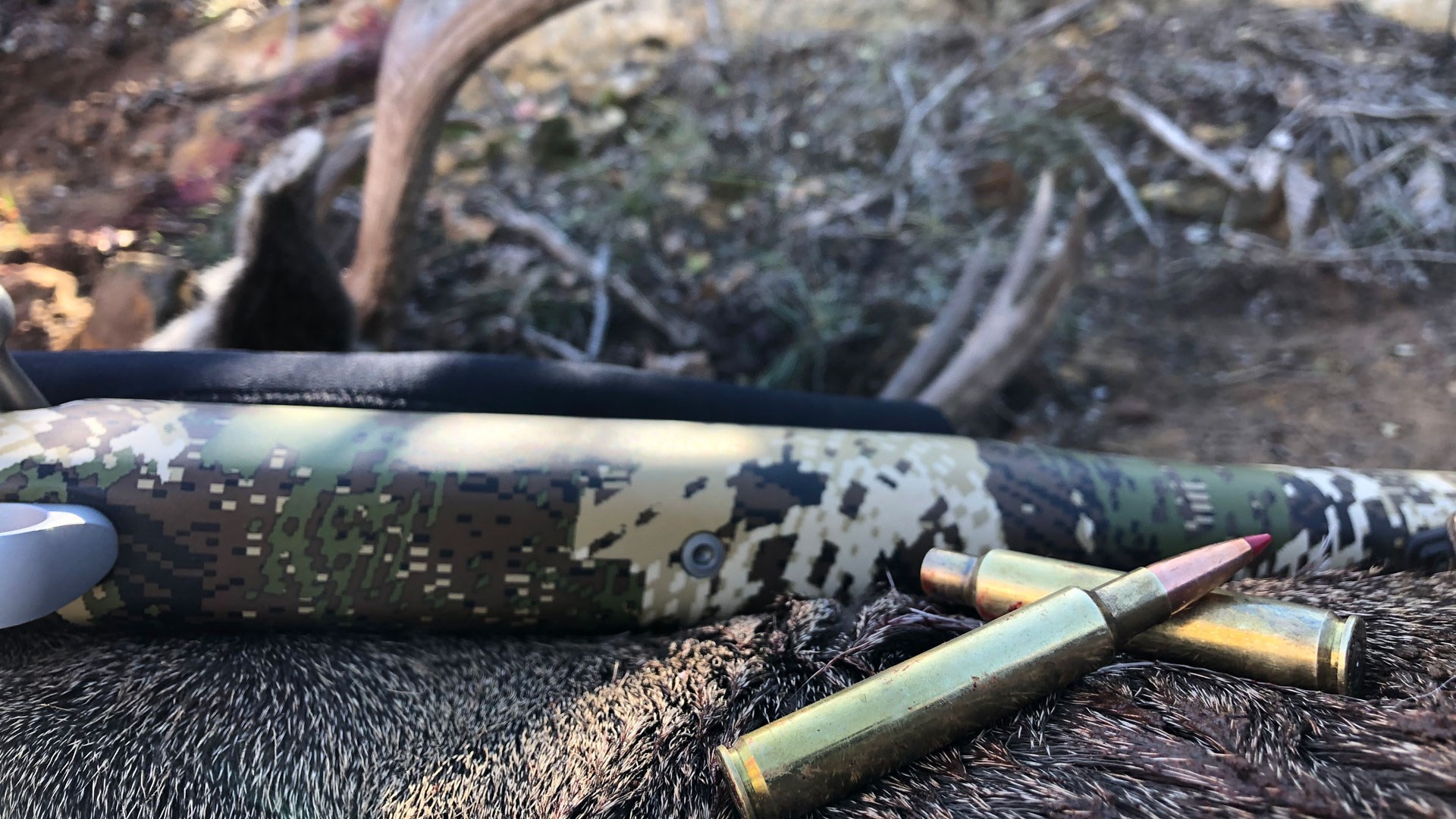 Cartridges next to rifle