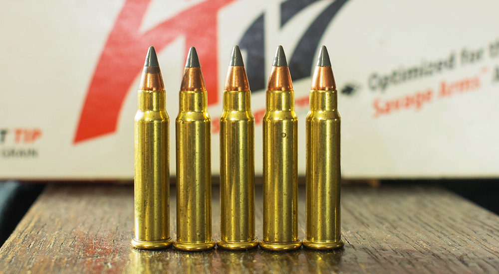 CCI A17 .17 HMR ammunition.